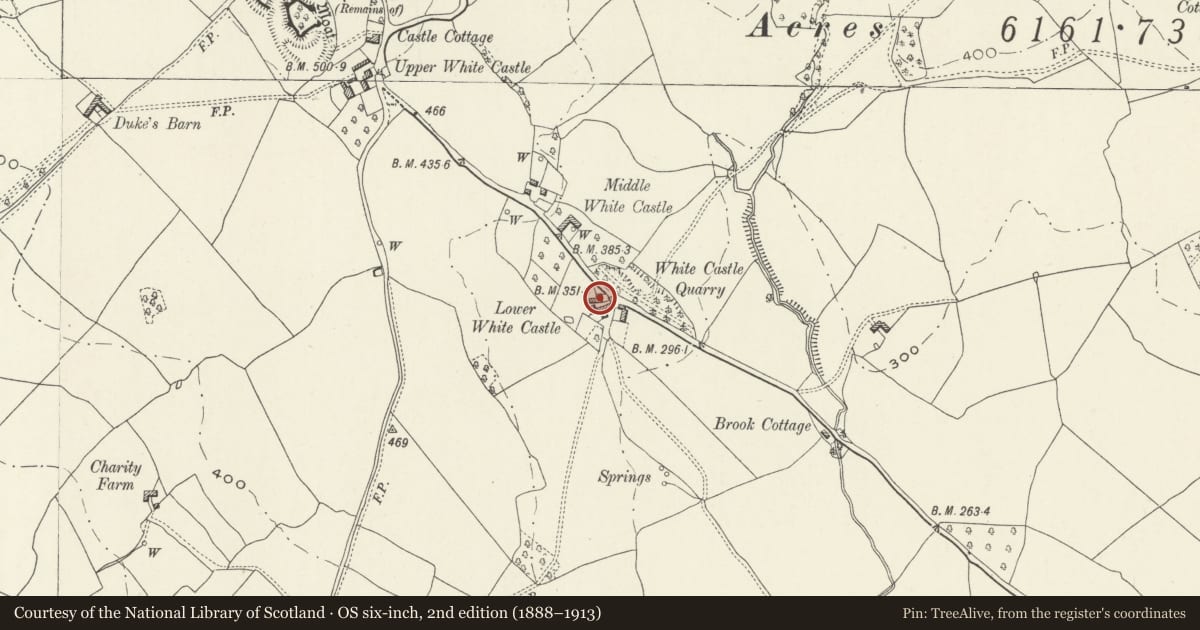 Ordnance Survey six-inch map, 2nd edition (1888–1913) covering the location of Lower White Castle Farmhouse, Whitecastle, Monmouthshire, with a pin at the register's coordinates