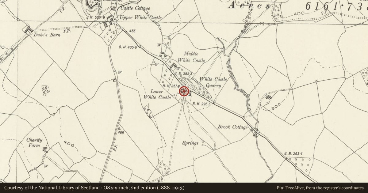Ordnance Survey six-inch map, 2nd edition (1888–1913) covering the location of Barn and attached Granary at Lower White Castle, Whitecastle, Monmouthshire, with a pin at the register's coordinates