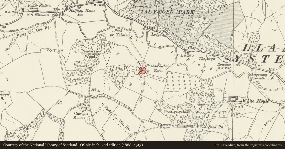 Ordnance Survey six-inch map, 2nd edition (1888–1913) covering the location of Stable and Cartshed at Pont-yr-ychain Farm, Whitecastle, Monmouthshire, with a pin at the register's coordinates