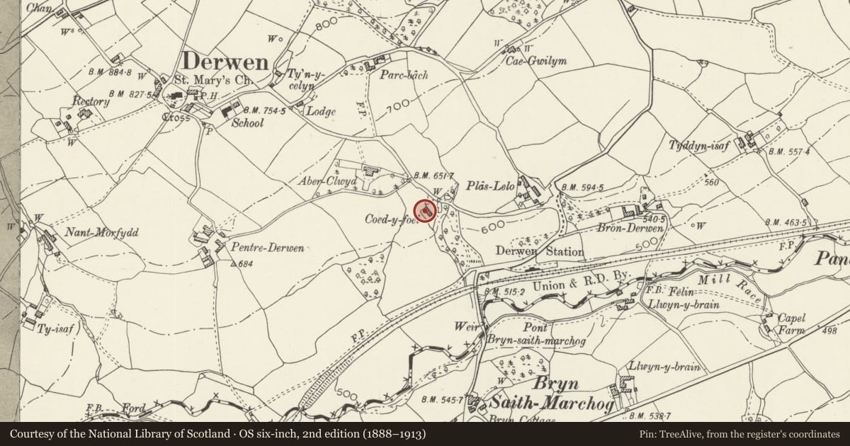 Ordnance Survey six-inch map, 2nd edition (1888–1913) covering the location of Coed-y-foel, Derwen, Denbighshire, with a pin at the register's coordinates