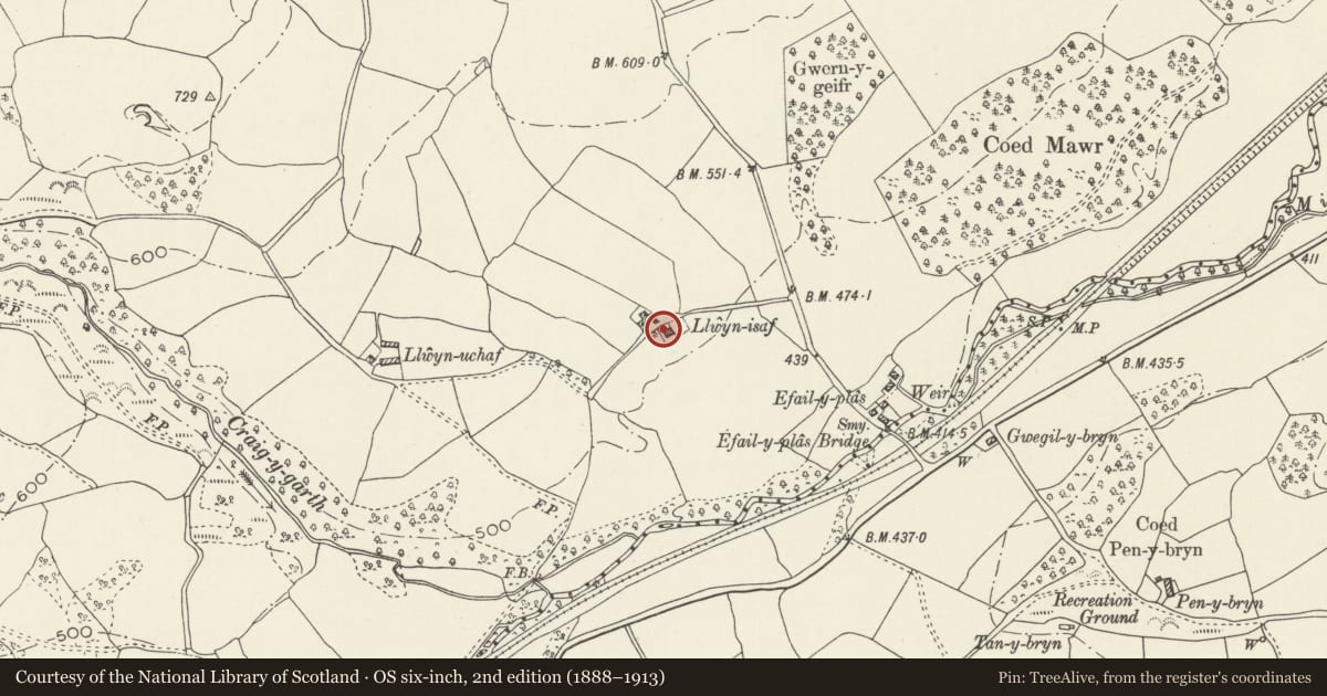Ordnance Survey six-inch map, 2nd edition (1888–1913) covering the location of Llwyn Isa, Derwen, Denbighshire, with a pin at the register's coordinates