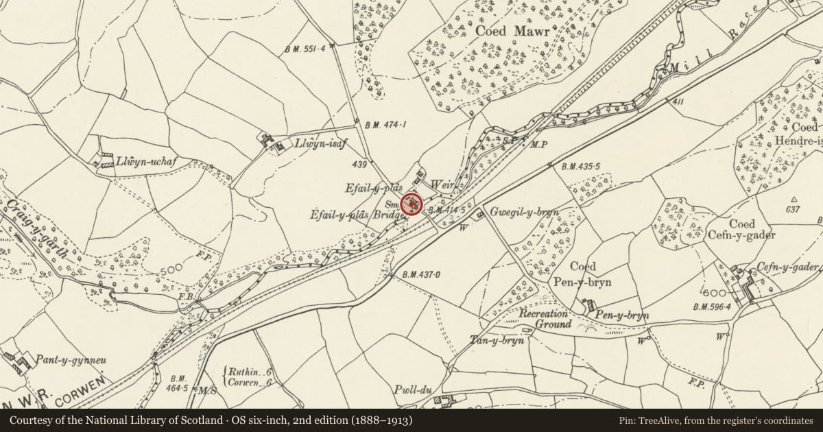 Ordnance Survey six-inch map, 2nd edition (1888–1913) covering the location of Efail-y-plas Bridge (partly in Llanelidan Community), Derwen, Denbighshire, with a pin at the register's coordinates