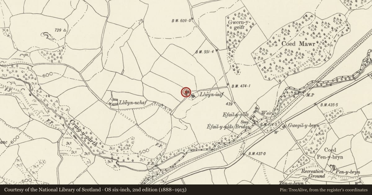 Ordnance Survey six-inch map, 2nd edition (1888–1913) covering the location of Agricultural range at Llwyn Isa, Derwen, Denbighshire, with a pin at the register's coordinates
