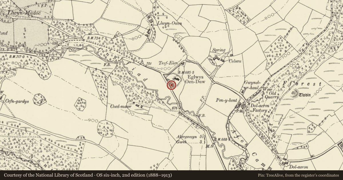 Ordnance Survey six-inch map, 2nd edition (1888–1913) covering the location of Footbridge on SW side of Eglwys Oen Duw churchyard, Treflys, Powys, with a pin at the register's coordinates