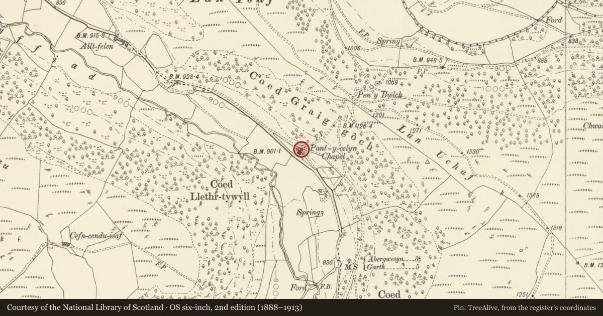 Ordnance Survey six-inch map, 2nd edition (1888–1913) covering the location of Pantycelyn Baptist Chapel, Treflys, Powys, with a pin at the register's coordinates