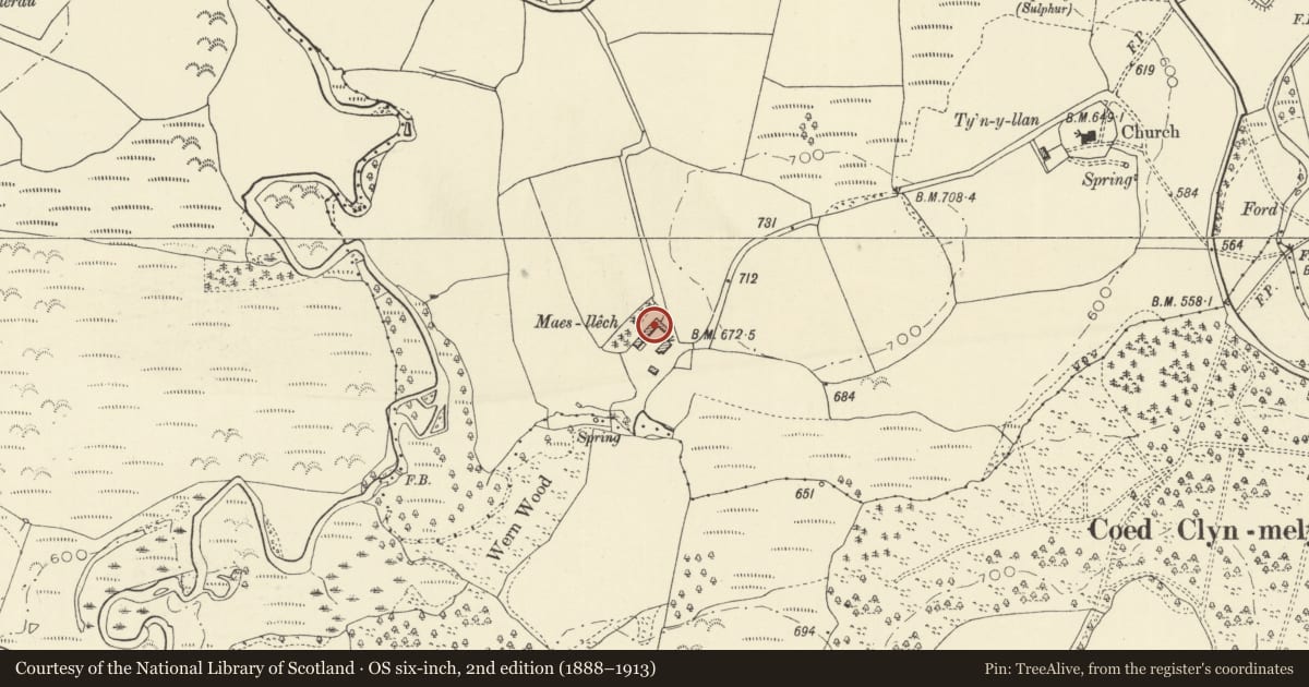 Ordnance Survey six-inch map, 2nd edition (1888–1913) covering the location of L-plan barn ranges at Maesllech, Treflys, Powys, with a pin at the register's coordinates