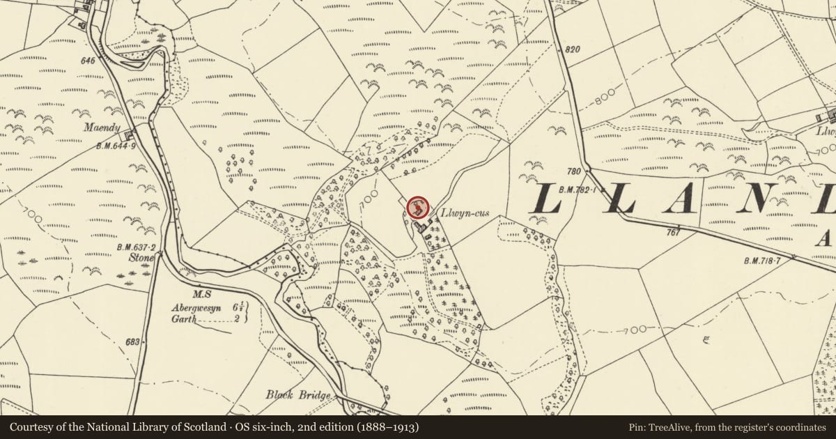 Ordnance Survey six-inch map, 2nd edition (1888–1913) covering the location of Llwyn-cus, Treflys, Powys, with a pin at the register's coordinates