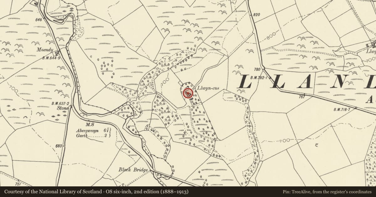 Ordnance Survey six-inch map, 2nd edition (1888–1913) covering the location of Cow house and barn at Llwyn-cus, Treflys, Powys, with a pin at the register's coordinates