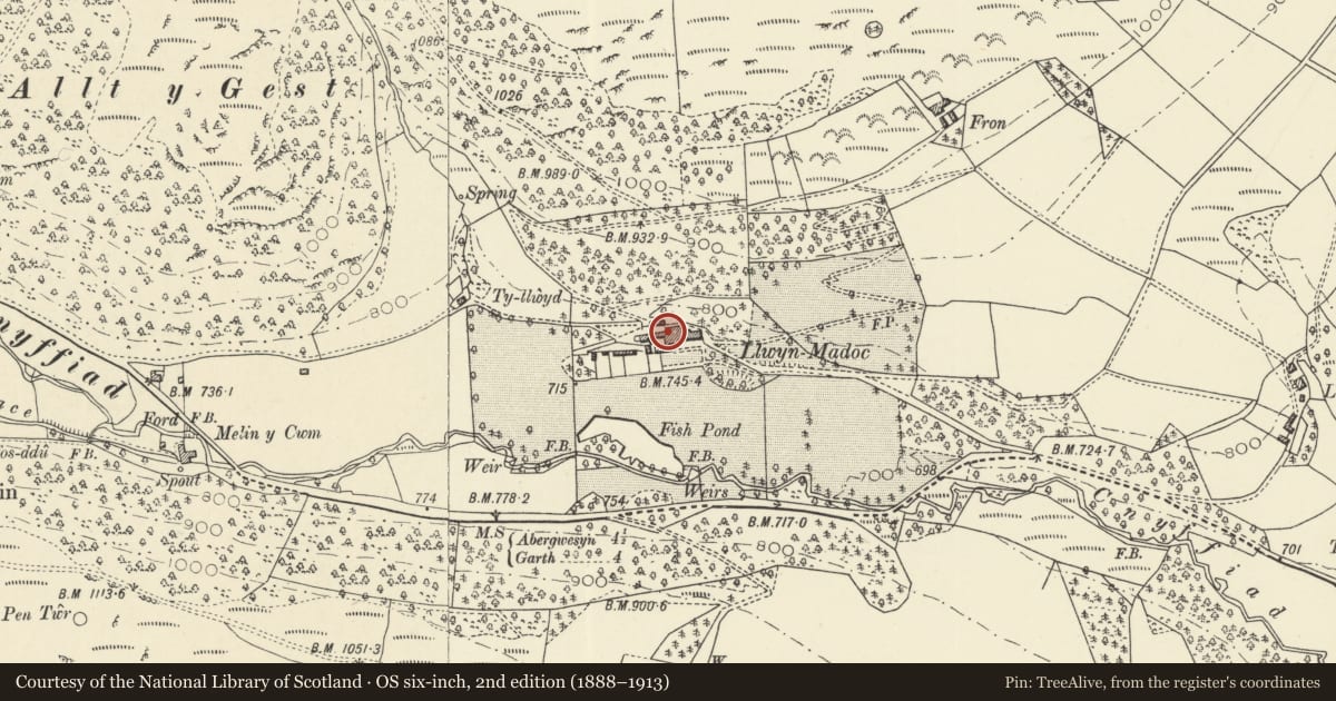 Ordnance Survey six-inch map, 2nd edition (1888–1913) covering the location of Llwynmadoc, Treflys, Powys, with a pin at the register's coordinates