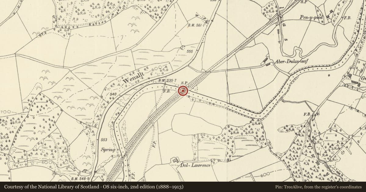 Ordnance Survey six-inch map, 2nd edition (1888–1913) covering the location of Railway viaduct SW of Aberdulas Farm (partly in Llangammarch Community), Treflys, Powys, with a pin at the register's coordinates