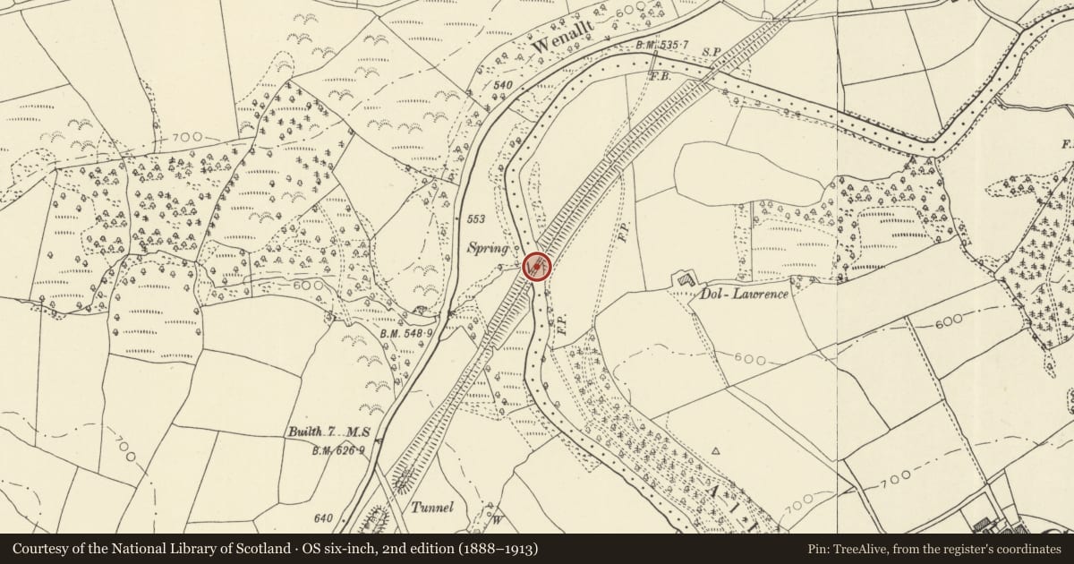 Ordnance Survey six-inch map, 2nd edition (1888–1913) covering the location of Railway viaduct N of Llwyn Einon, Llangamarch, Powys, with a pin at the register's coordinates