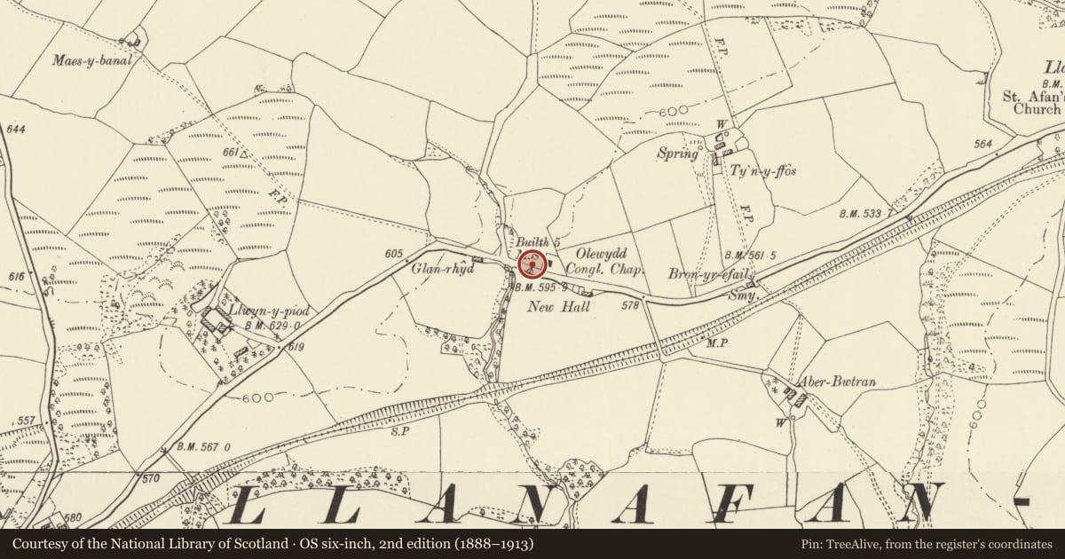 Ordnance Survey six-inch map, 2nd edition (1888–1913) covering the location of Milestone W of Olewydd Chapel, Treflys, Powys, with a pin at the register's coordinates