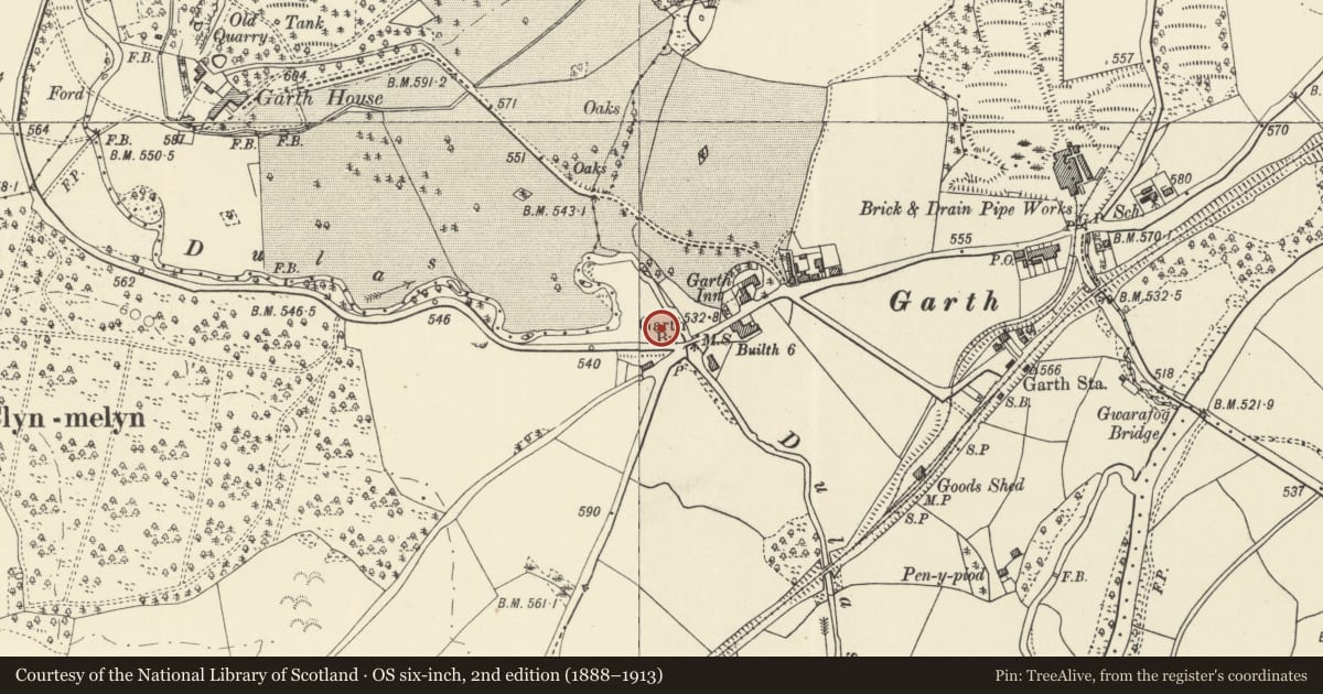 Ordnance Survey six-inch map, 2nd edition (1888–1913) covering the location of Milestone W of Garth Bridge, Treflys, Powys, with a pin at the register's coordinates
