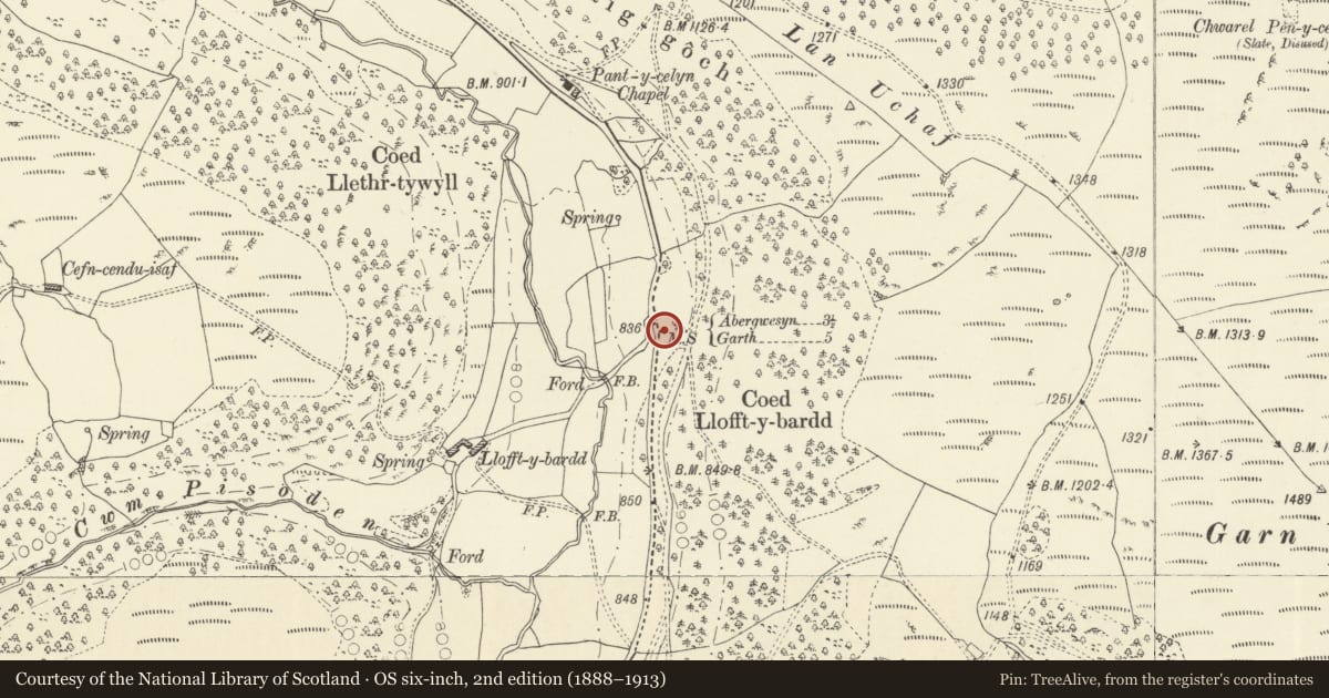 Ordnance Survey six-inch map, 2nd edition (1888–1913) covering the location of Milestone S of Pantycelyn Chapel, Treflys, Powys, with a pin at the register's coordinates