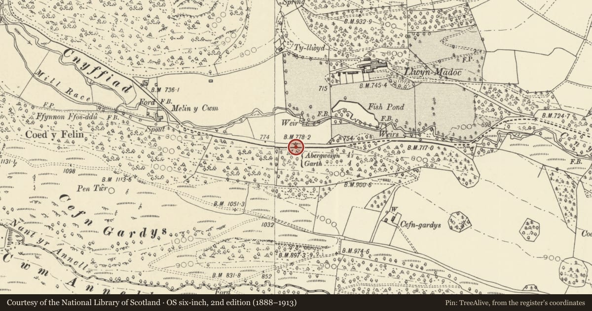 Ordnance Survey six-inch map, 2nd edition (1888–1913) covering the location of Milestone S of Llwynmadoc, Treflys, Powys, with a pin at the register's coordinates