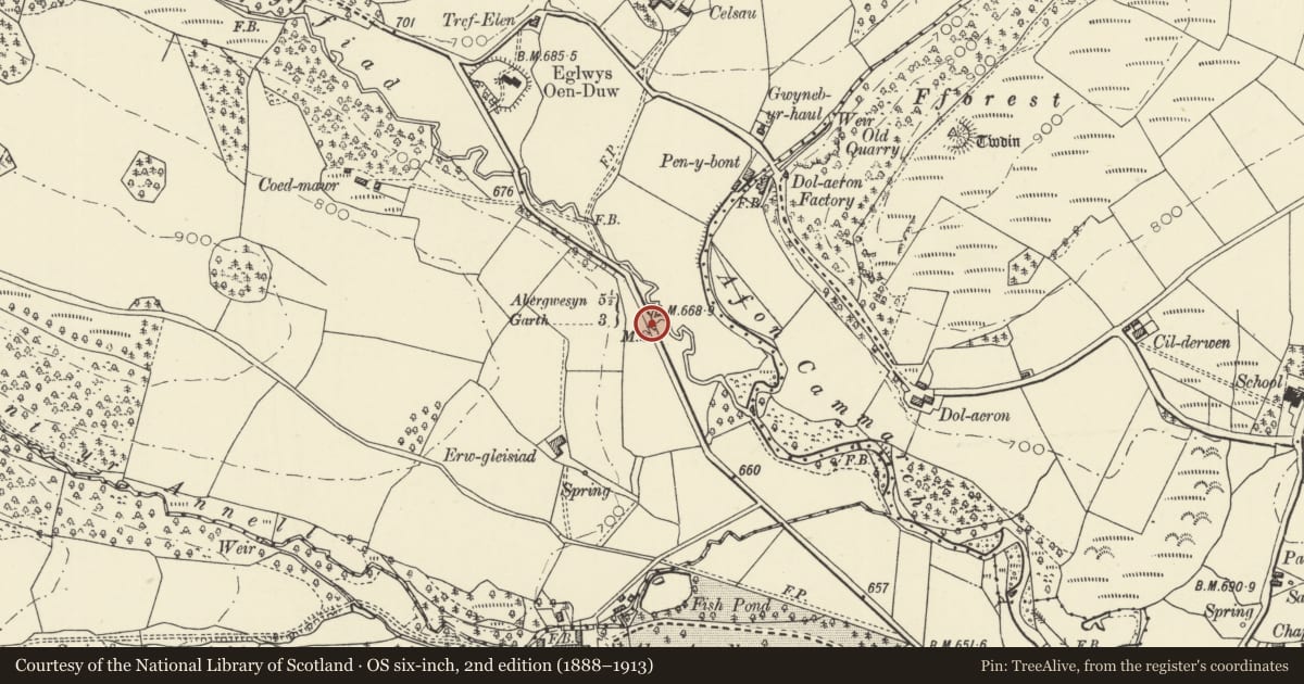 Ordnance Survey six-inch map, 2nd edition (1888–1913) covering the location of Milestone SE of Eglwys Oen Duw, Treflys, Powys, with a pin at the register's coordinates