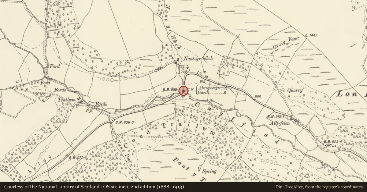 Ordnance Survey six-inch map, 2nd edition (1888–1913) covering the location of Milestone at Trallwm, Treflys, Powys, with a pin at the register's coordinates