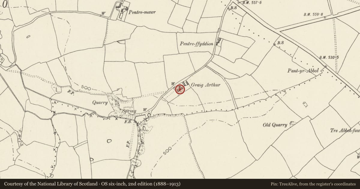 Ordnance Survey six-inch map, 2nd edition (1888–1913) covering the location of Graig Arthur Farmhouse, Trelawnyd and Gwaenysgor, Flintshire, with a pin at the register's coordinates
