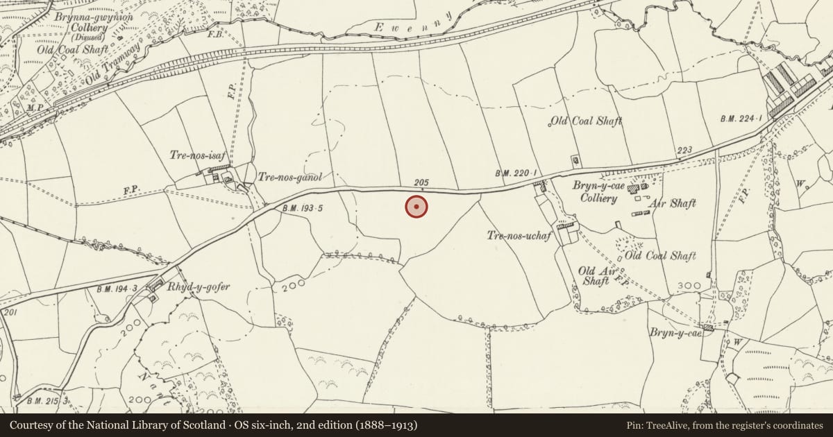 Ordnance Survey six-inch map, 2nd edition (1888–1913) covering the location of Dolau Primary School, Llanharan, Rhondda Cynon Taff, with a pin at the register's coordinates
