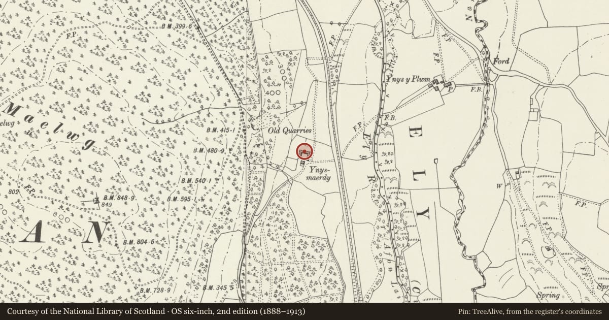Ordnance Survey six-inch map, 2nd edition (1888–1913) covering the location of Barn and cow house at Ynysmaerdy Farm, Llanharan, Rhondda Cynon Taff, with a pin at the register's coordinates