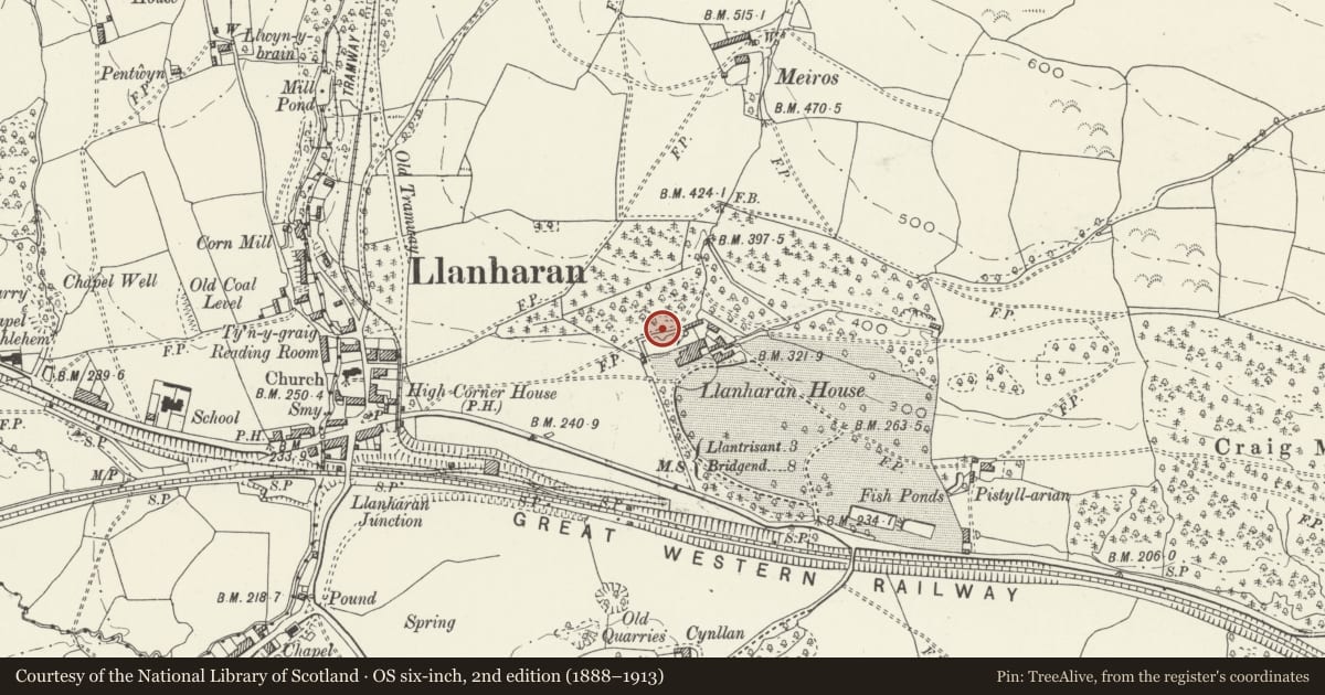 Ordnance Survey six-inch map, 2nd edition (1888–1913) covering the location of Walls of upper terrace to N of Llanharan House, Rhondda Cynon Taff, with a pin at the register's coordinates