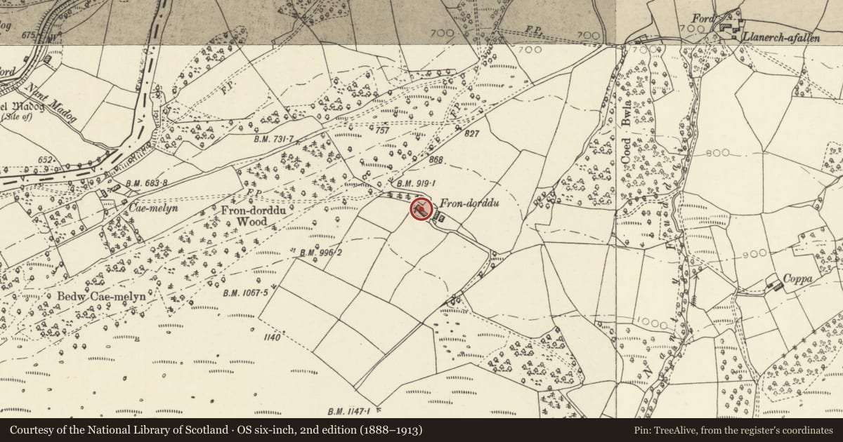 Ordnance Survey six-inch map, 2nd edition (1888–1913) covering the location of Frondorddu Farmhouse, including attached byre, Llanwrthwl, Powys, with a pin at the register's coordinates