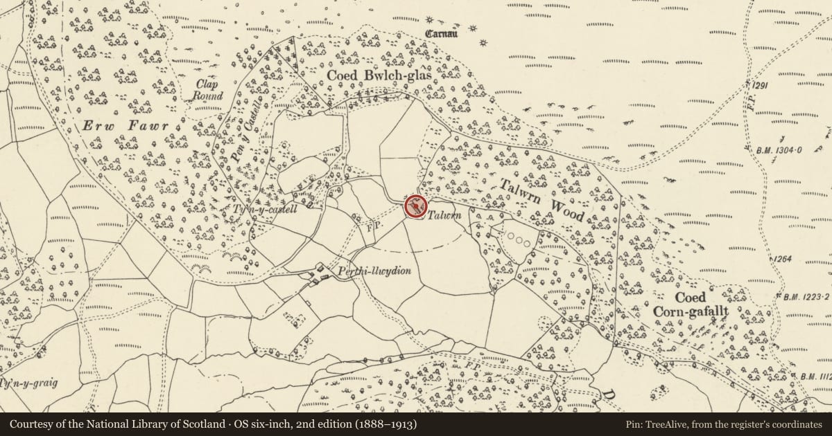 Ordnance Survey six-inch map, 2nd edition (1888–1913) covering the location of Talwrn, including attached byre and former cart shed, Llanwrthwl, Powys, with a pin at the register's coordinates