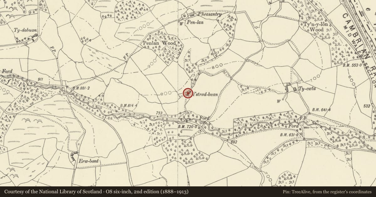 Ordnance Survey six-inch map, 2nd edition (1888–1913) covering the location of Prest-dabuan barn with attached cow house, Llanwrthwl, Powys, with a pin at the register's coordinates