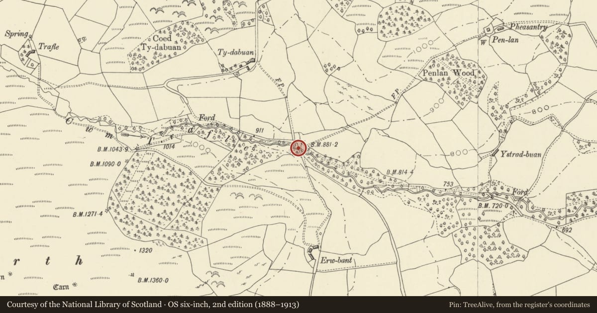 Ordnance Survey six-inch map, 2nd edition (1888–1913) covering the location of Bridge over Cwm Trafle SE of Ty Dabuan, Llanwrthwl, Powys, with a pin at the register's coordinates
