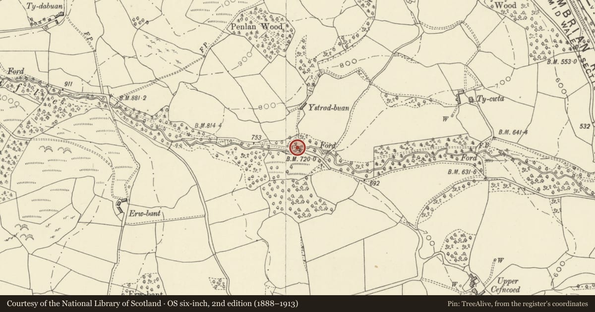 Ordnance Survey six-inch map, 2nd edition (1888–1913) covering the location of Bridge over Cwm Trafle S of Prest-dabuan barn, Llanwrthwl, Powys, with a pin at the register's coordinates