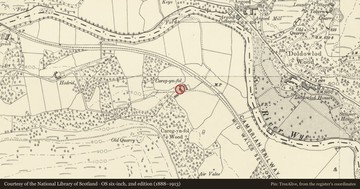Ordnance Survey six-inch map, 2nd edition (1888–1913) covering the location of Barn and cart shed at Careg-yn-fol, Llanwrthwl, Powys, with a pin at the register's coordinates