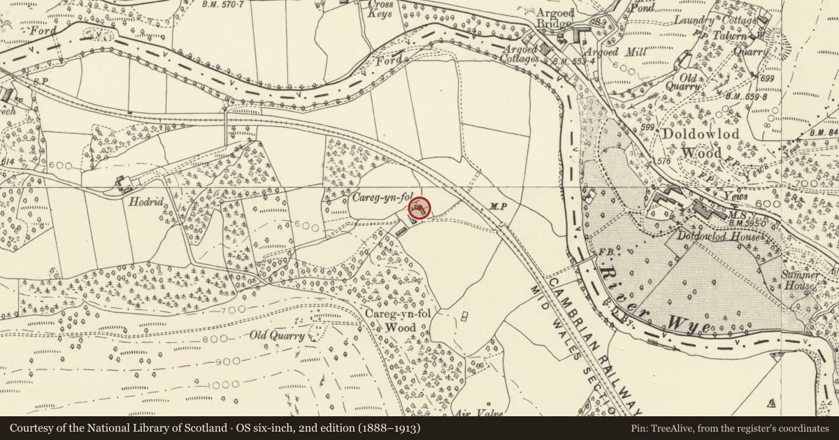 Ordnance Survey six-inch map, 2nd edition (1888–1913) covering the location of Stable and cow house at Careg-yn-fol, Llanwrthwl, Powys, with a pin at the register's coordinates