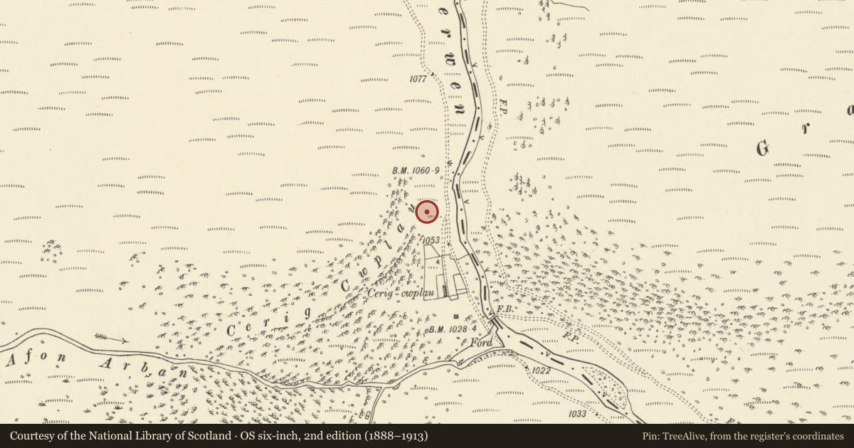 Ordnance Survey six-inch map, 2nd edition (1888–1913) covering the location of Claerwen dam, including attached footbridges (partly in Rhayader community), Llanwrthwl, Powys, with a pin at the register's coordinates