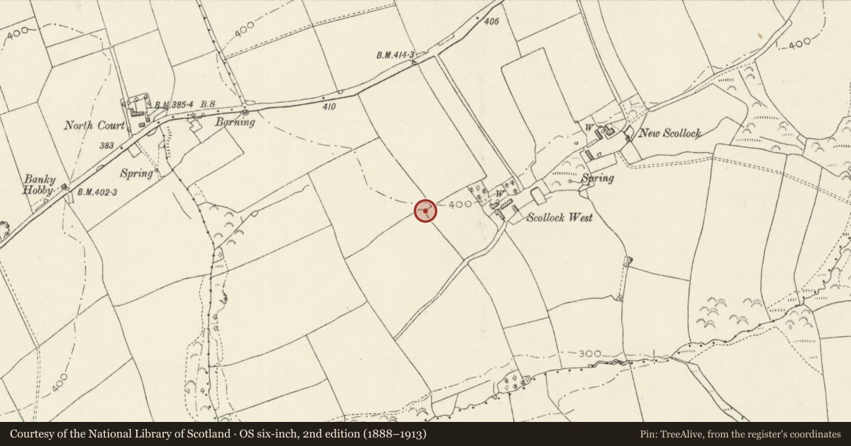 Ordnance Survey six-inch map, 2nd edition (1888–1913) covering the location of Llewellin Monument at Scollock West Farm, Ambleston, Pembrokeshire, with a pin at the register's coordinates
