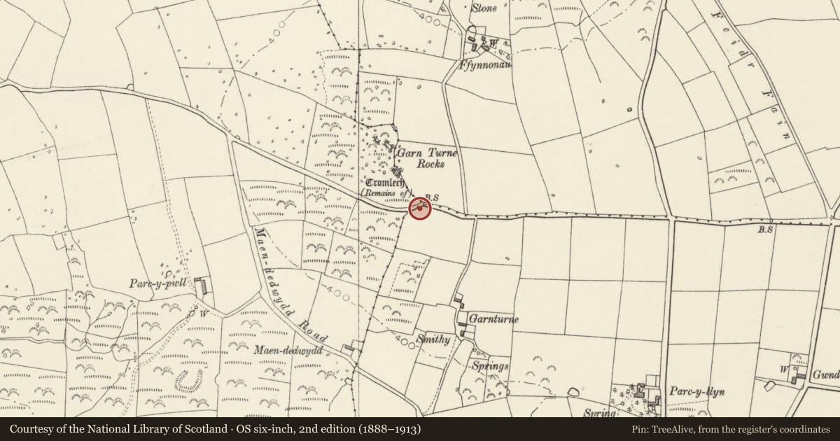 Ordnance Survey six-inch map, 2nd edition (1888–1913) covering the location of Boundary stone at Garn Turne, Ambleston, Pembrokeshire, with a pin at the register's coordinates