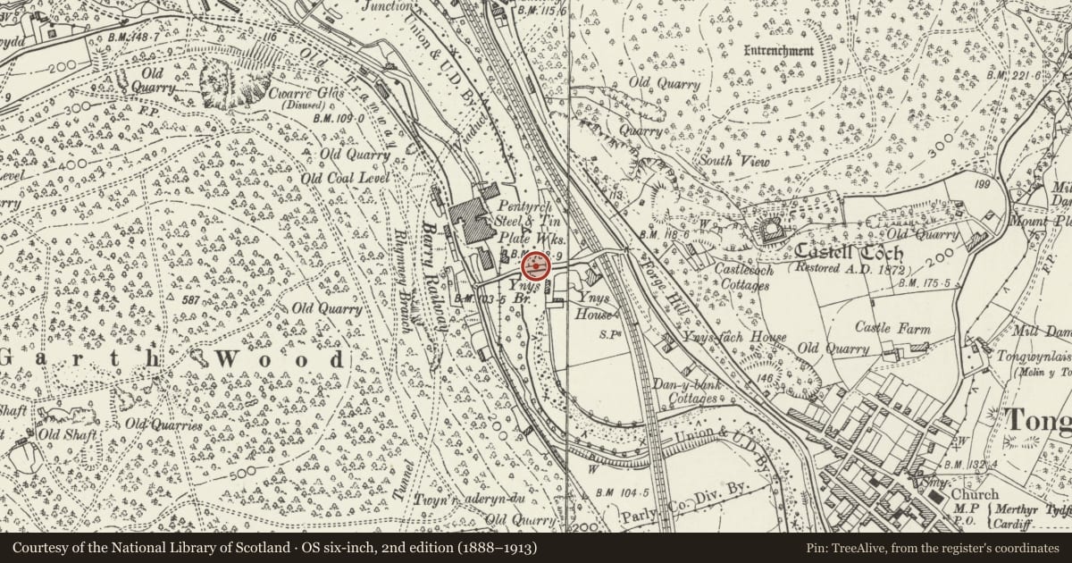 Ordnance Survey six-inch map, 2nd edition (1888–1913) covering the location of Ynys Bridge (partly in Pentyrch community), Tongwynlais, Cardiff, with a pin at the register's coordinates
