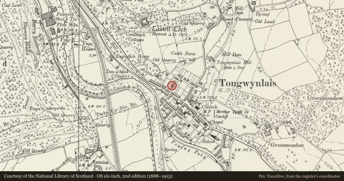 Ordnance Survey six-inch map, 2nd edition (1888–1913) covering the location of Nos 6-8 Wyndham Street (consec), Tongwynlais, Cardiff, with a pin at the register's coordinates