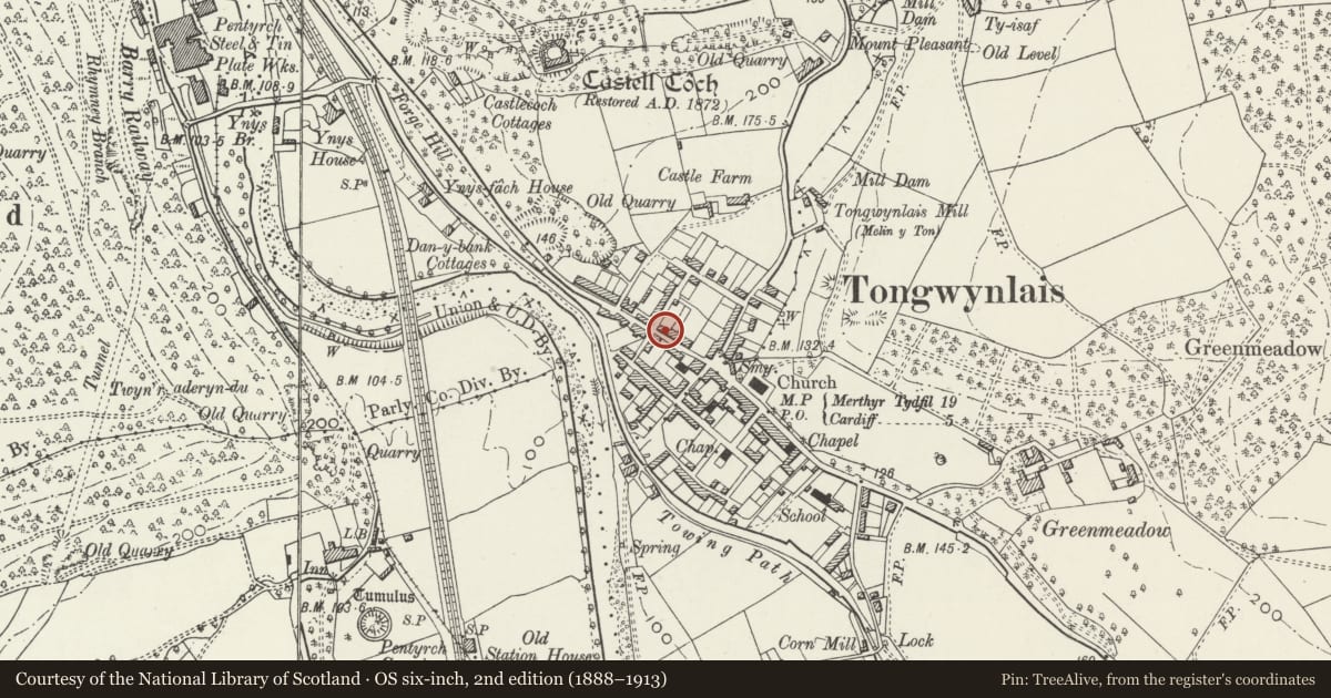 Ordnance Survey six-inch map, 2nd edition (1888–1913) covering the location of 16 Merthyr Road, Tongwynlais, Cardiff, with a pin at the register's coordinates