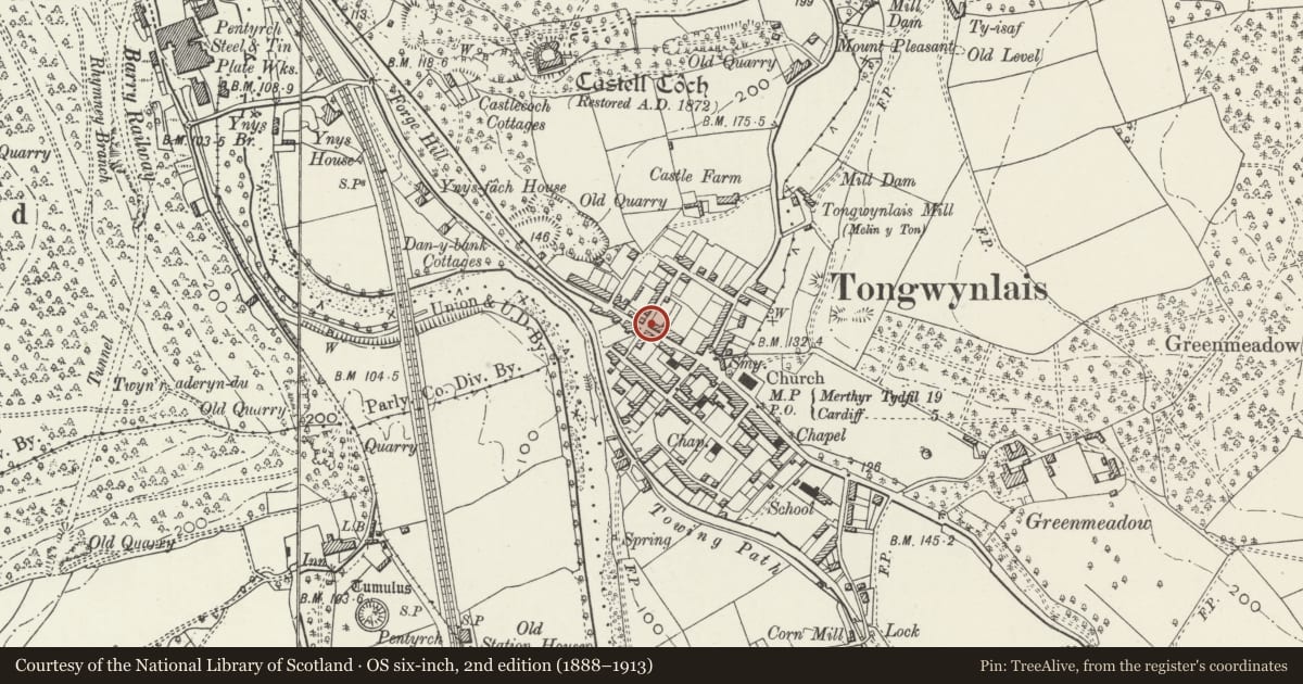 Ordnance Survey six-inch map, 2nd edition (1888–1913) covering the location of 20 Merthyr Road, Tongwynlais, Cardiff, with a pin at the register's coordinates