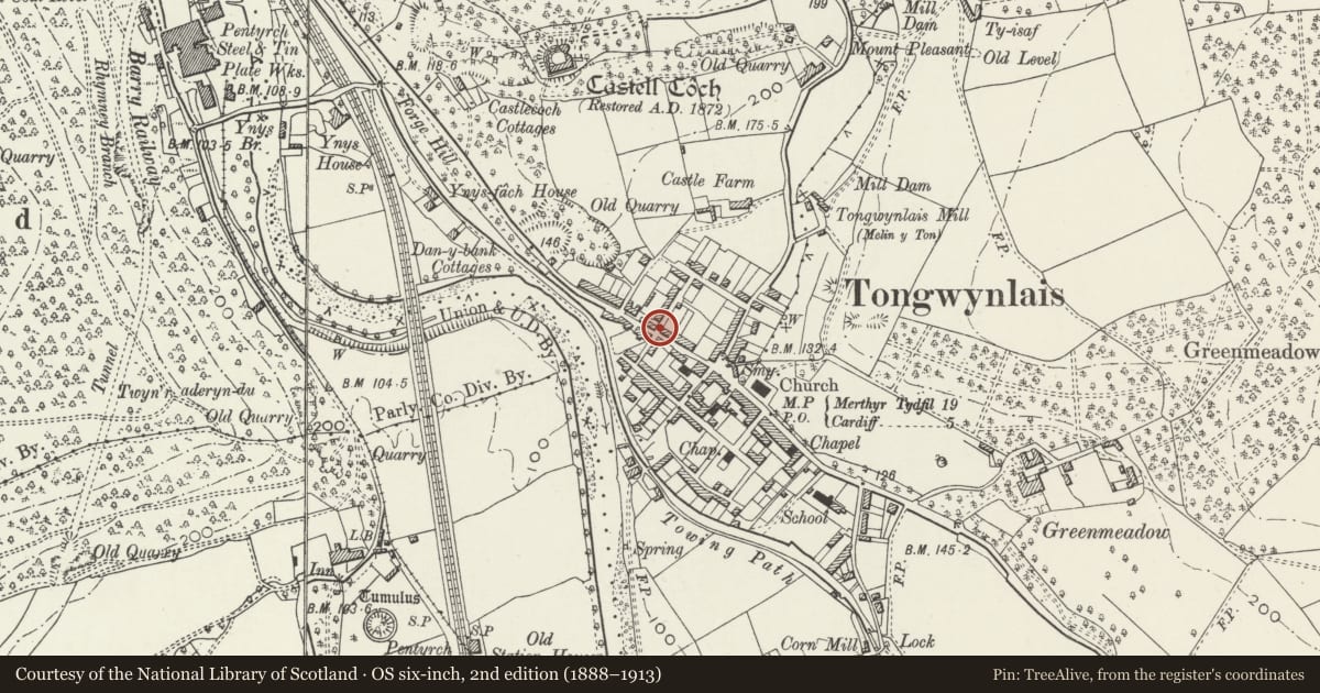 Ordnance Survey six-inch map, 2nd edition (1888–1913) covering the location of 22 Merthyr Road, Tongwynlais, Cardiff, with a pin at the register's coordinates