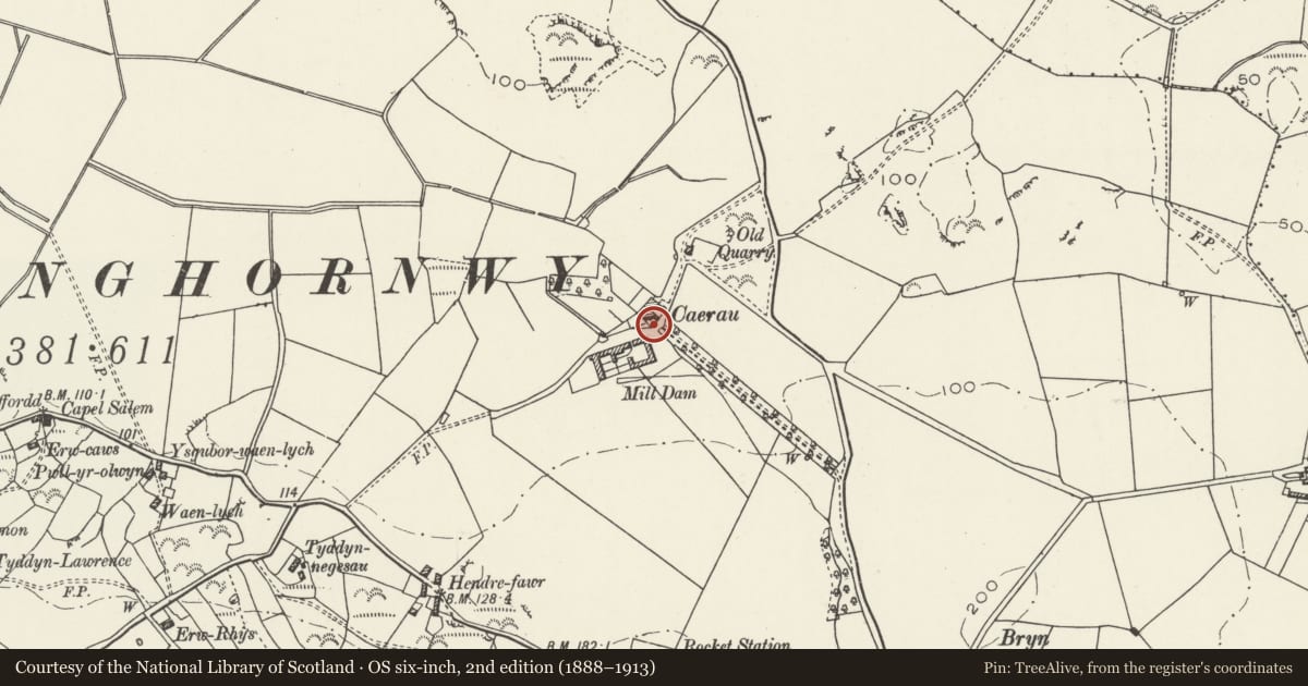 Ordnance Survey six-inch map, 2nd edition (1888–1913) covering the location of Gatepiers to south courtyard at Caerau, Cylch-y-Garn, Isle of Anglesey, with a pin at the register's coordinates