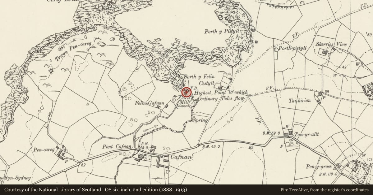 Ordnance Survey six-inch map, 2nd edition (1888–1913) covering the location of Corn Mill at Felin Gafnan, Cylch-y-Garn, Isle of Anglesey, with a pin at the register's coordinates