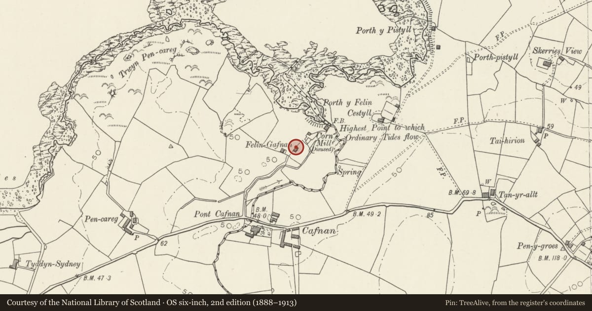 Ordnance Survey six-inch map, 2nd edition (1888–1913) covering the location of Corn drying house at Felin Gafnan, Cylch-y-Garn, Isle of Anglesey, with a pin at the register's coordinates