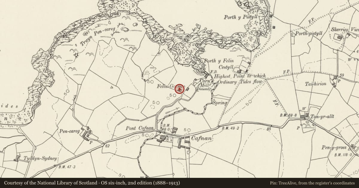 Ordnance Survey six-inch map, 2nd edition (1888–1913) covering the location of Mill house at Felin Gafnan, Cylch-y-Garn, Isle of Anglesey, with a pin at the register's coordinates