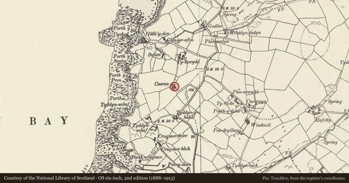 Ordnance Survey six-inch map, 2nd edition (1888–1913) covering the location of Boiling house with attached privy at Caerau, Cylch-y-Garn, Isle of Anglesey, with a pin at the register's coordinates