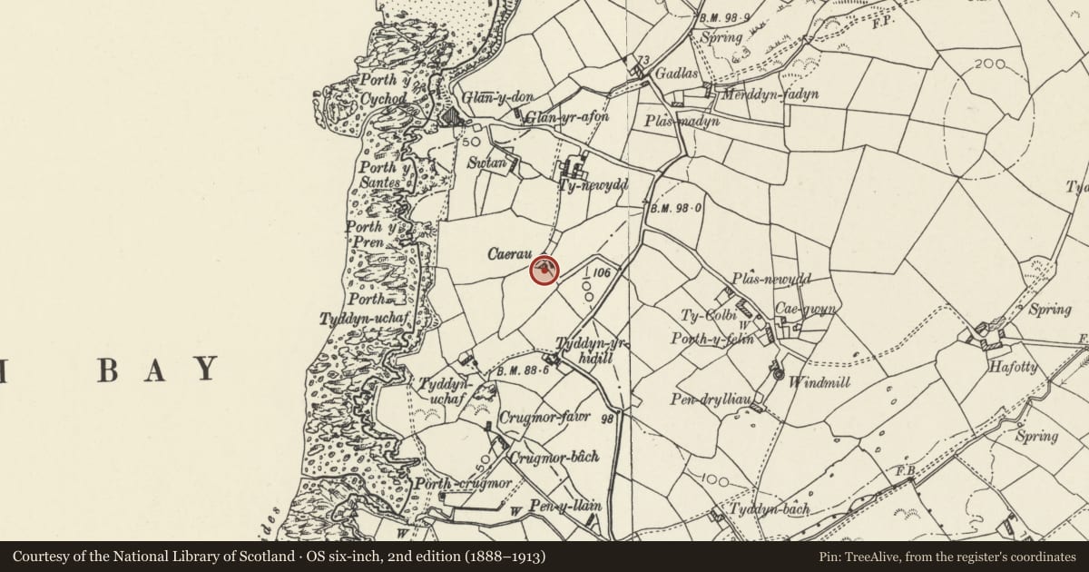 Ordnance Survey six-inch map, 2nd edition (1888–1913) covering the location of Pigsty-henhouse range and attached yard at Caerau, Cylch-y-Garn, Isle of Anglesey, with a pin at the register's coordinates