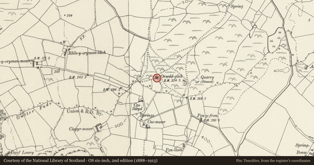 Ordnance Survey six-inch map, 2nd edition (1888–1913) covering the location of Cottage at Orsedd Goch, Cylch-y-Garn, Isle of Anglesey, with a pin at the register's coordinates