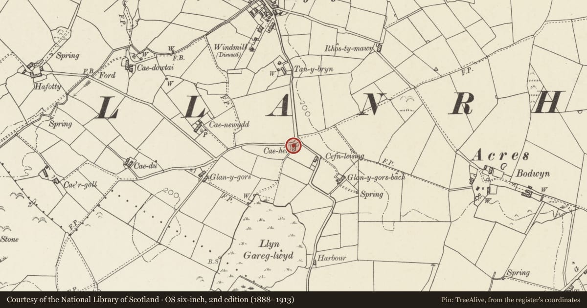 Ordnance Survey six-inch map, 2nd edition (1888–1913) covering the location of Cae Hen, Cylch-y-Garn, Isle of Anglesey, with a pin at the register's coordinates