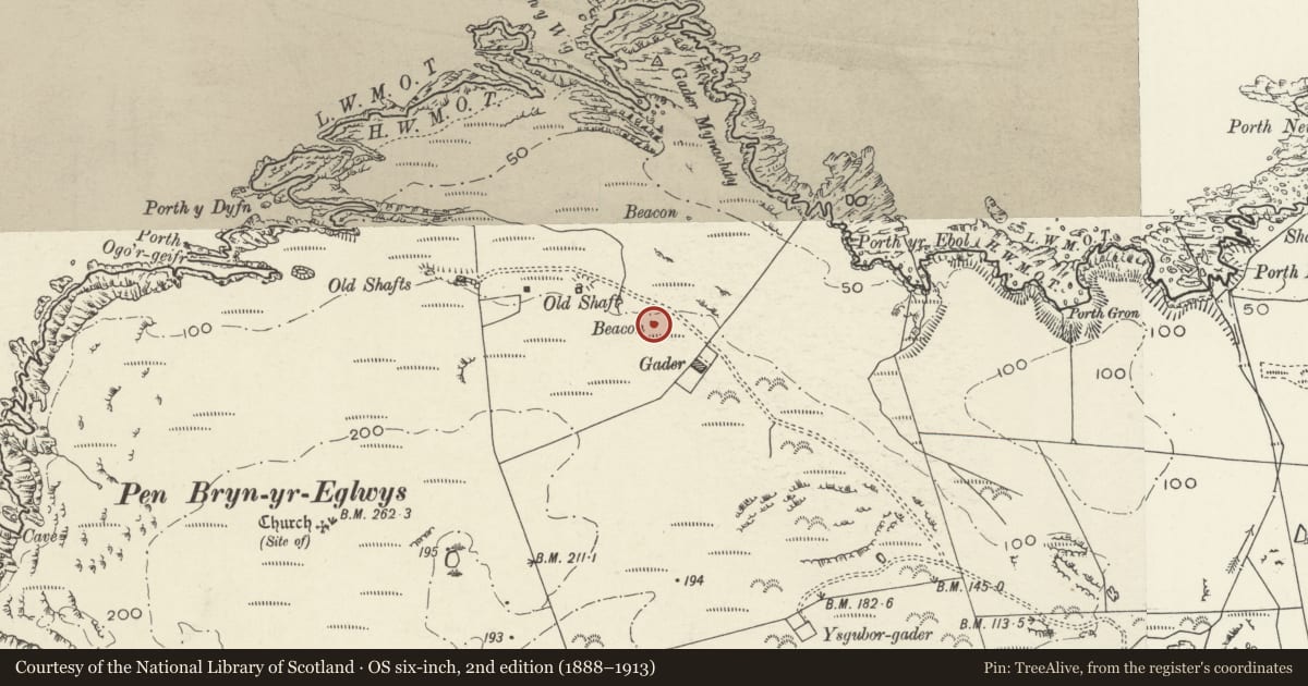 Ordnance Survey six-inch map, 2nd edition (1888–1913) covering the location of Pilot beacon (S), Cylch-y-Garn, Isle of Anglesey, with a pin at the register's coordinates