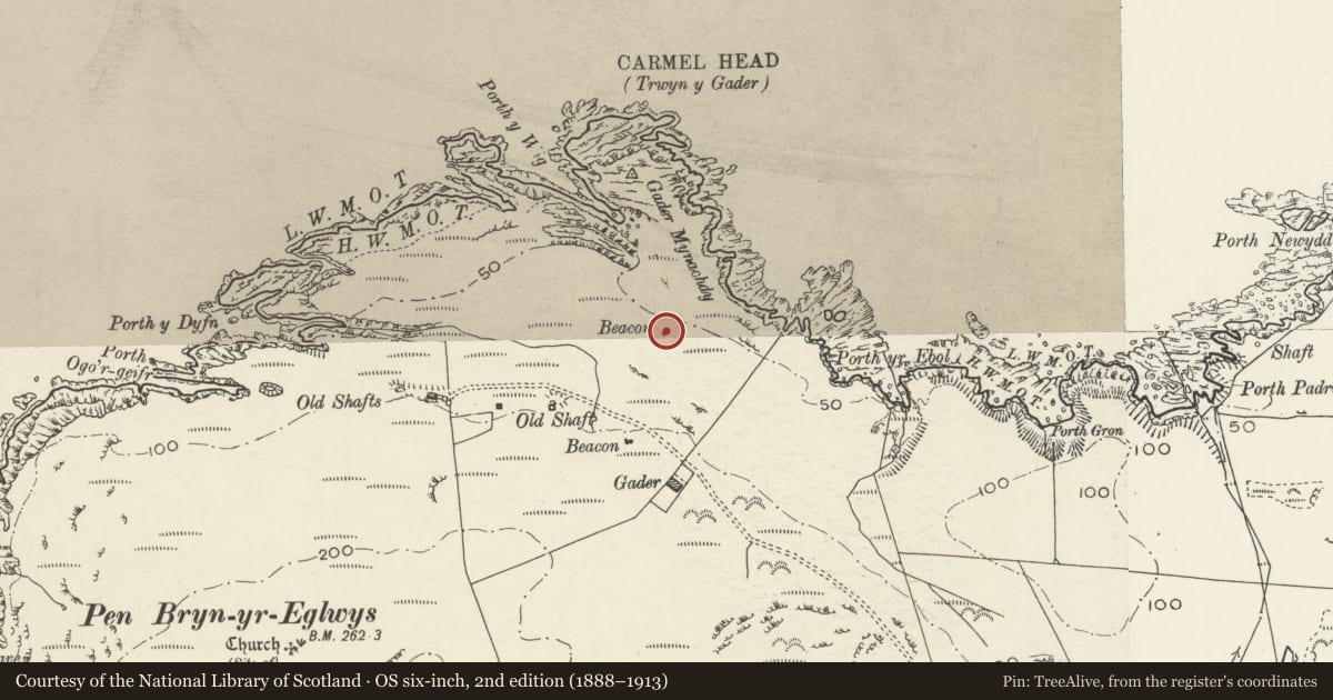 Ordnance Survey six-inch map, 2nd edition (1888–1913) covering the location of Pilot beacon (N), Cylch-y-Garn, Isle of Anglesey, with a pin at the register's coordinates